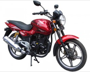 Racer Magnum RC250-C5B