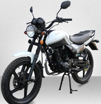 Racer Tiger RC150-23 New