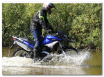 Racer Crossrunner RC250-GY8